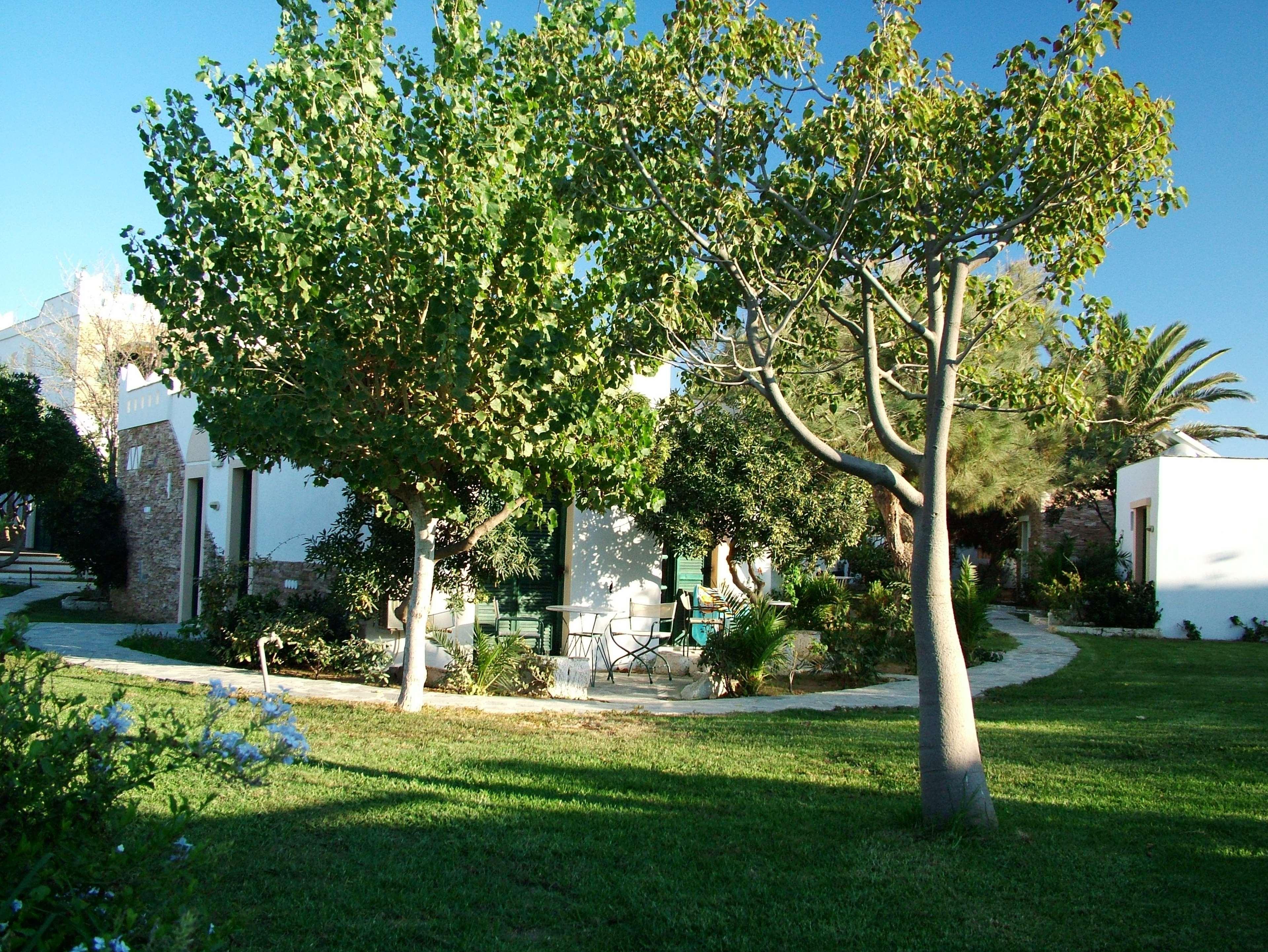 Naxos City Hotel Naxos Beach מראה חיצוני תמונה